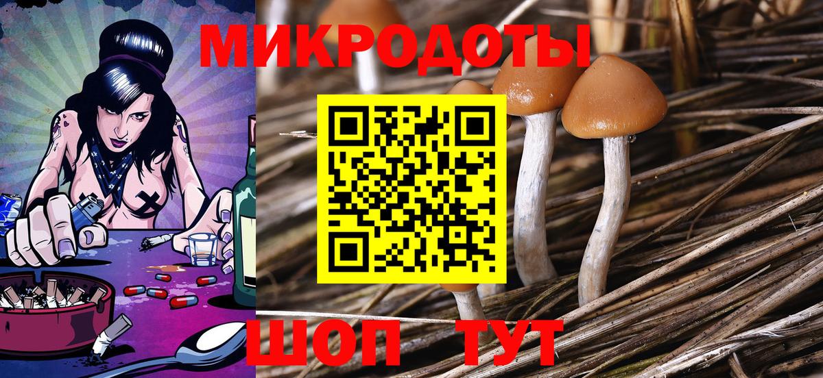 купить наркотики сайты  Псилоцибиновые грибы MAGIC MUSHROOMS  Вход с VPN  Кандалакша 
